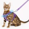 Cat Harness & Leash