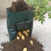 Early Summer Hot Sale 48 % OFF - 10 Gallons Potato Grow Planter PE Container Bag- (Buy 5 get 3 free+free shipping)