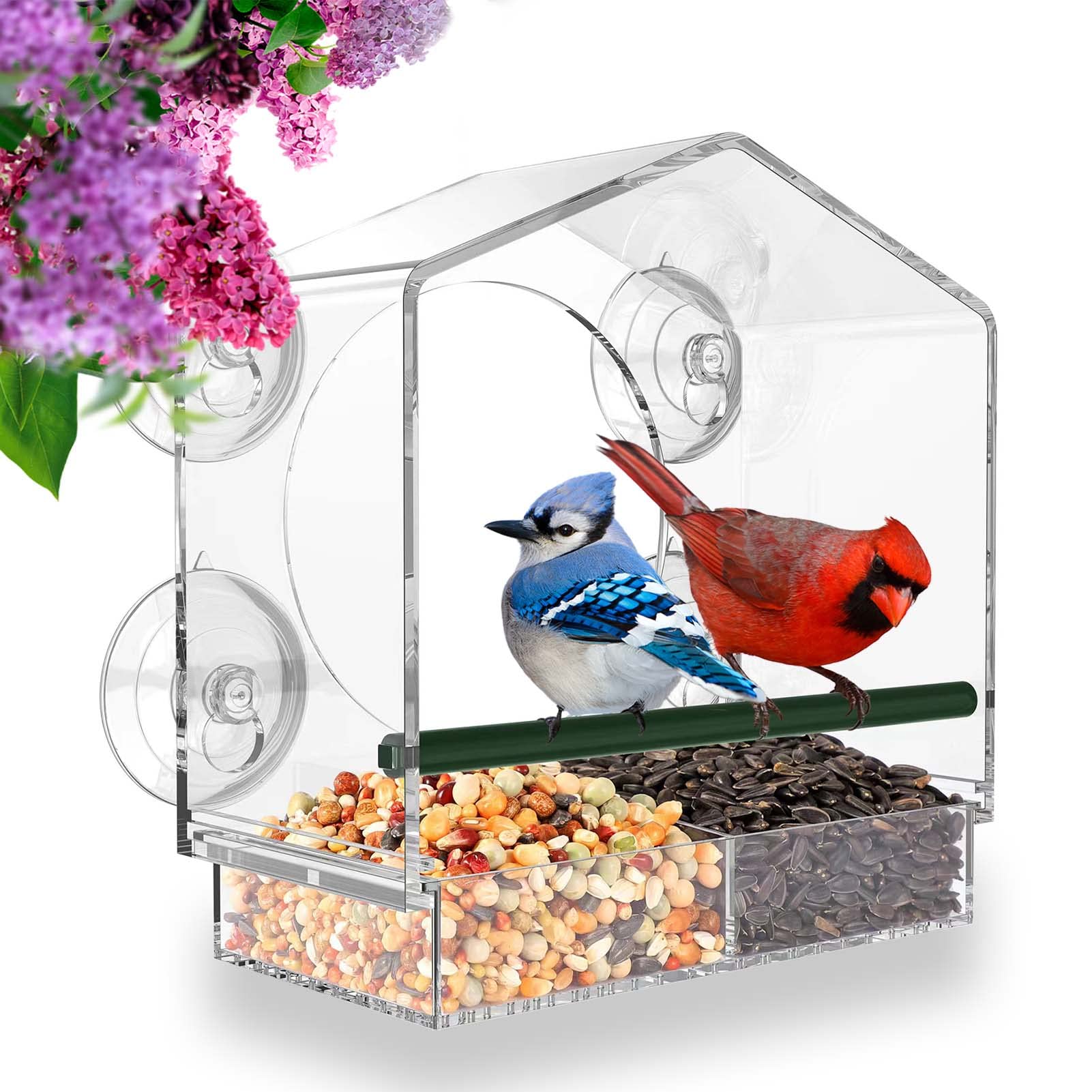 💲One Day 49% OFF-🐦Window Bird Feeder for Outside📦Buy 2 Free Shipping&💲Save 10% Off