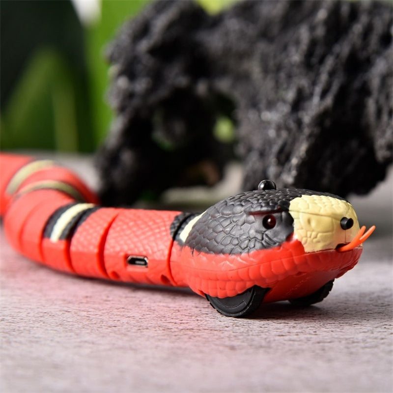 Interactive Snake Cat Toy