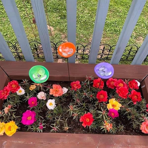 🎁TikTok Last Day Sale - 70% OFF🐝Bee Watering Station,🦋Butterfly Puddler,Hummingbird Drinking Cups