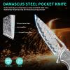 🐺 Damascus Pocket Knife – Handmade VG10 Steel with Abalone Shell Handle