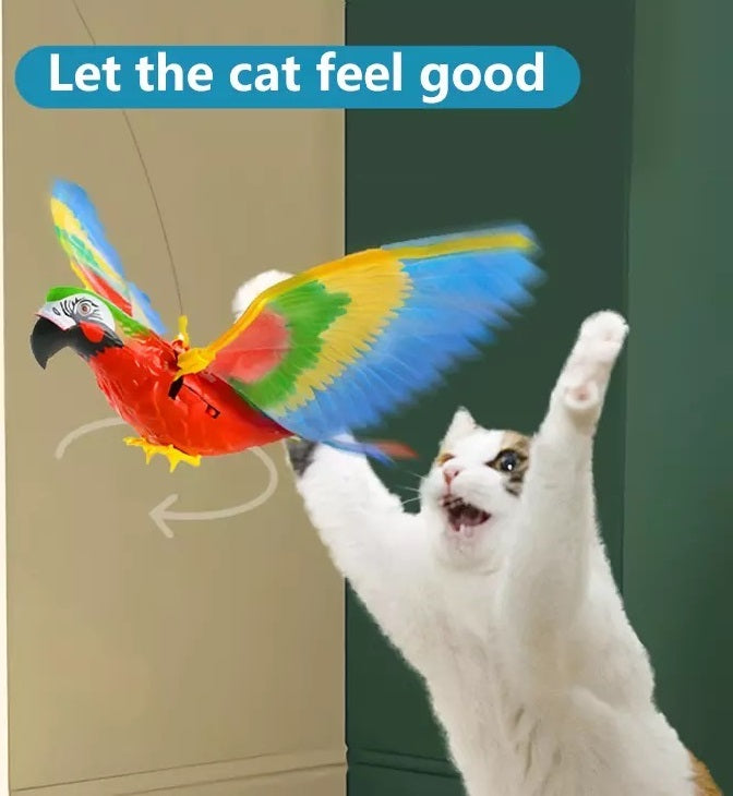 🐈Cat toy Parrot/Eagle Simulation Bird Cat Interactive Toy(BUY 2 GET 10% OFF FREE SHIPPING)