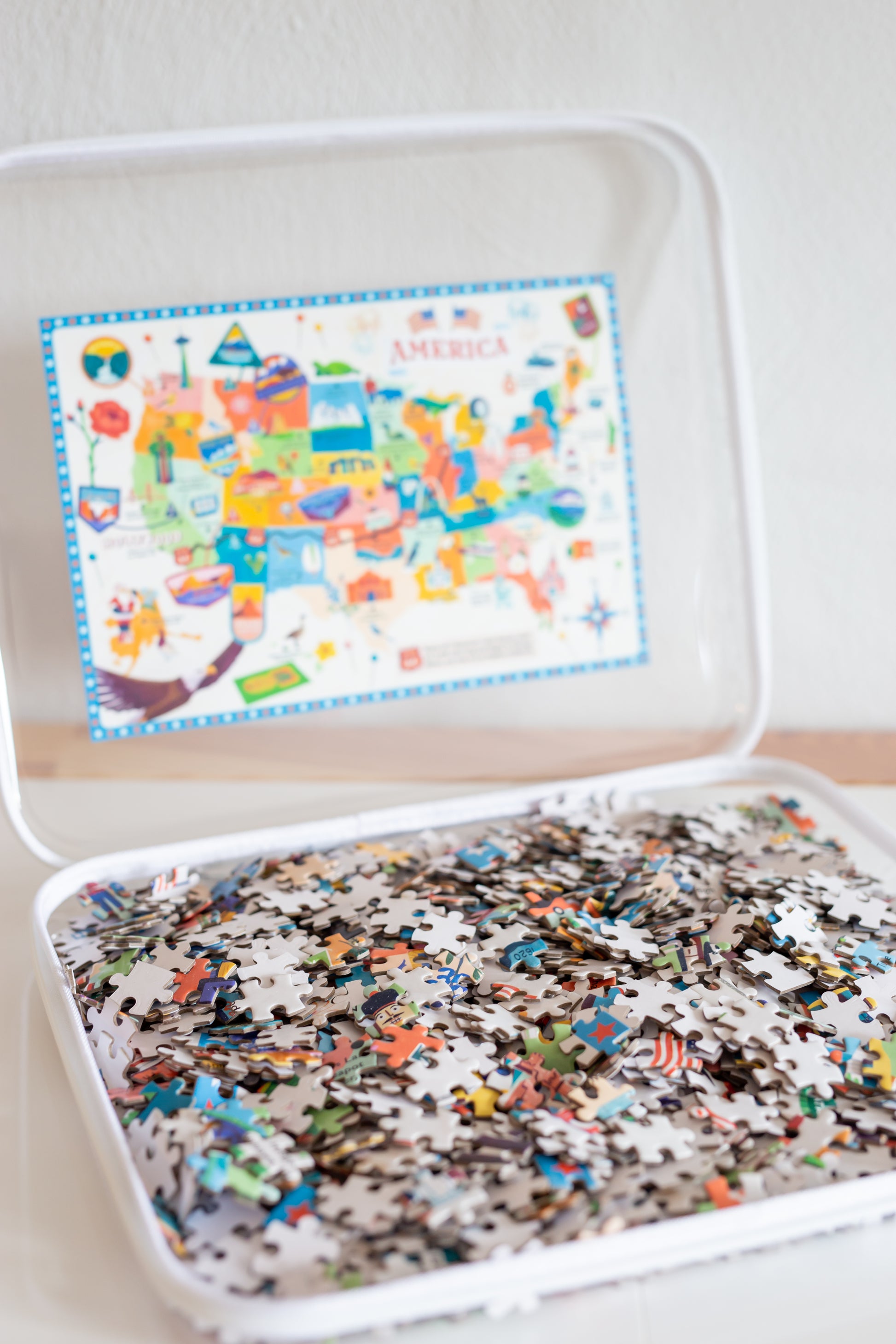 🔥Bliss Bins Zippered Hard Pouch & Buy 5 Get Extra 20% OFF