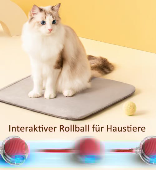 💗Letzter Tagesangebot: 49 % RABATT😻 Interaktiver Spielzeug Ball