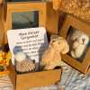 🔥Kaufe 1 Erhalte 1🎁Handgemachter Mini-Teddy in Box