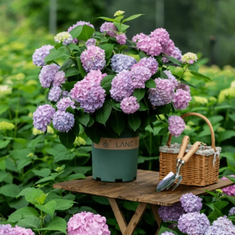 Flores De Hortensias Artificiales Al Aire Libre💐