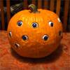 🔥Halloween Hot Sale 50% OFF🔥 Scary Halloween Pumpkin🎃