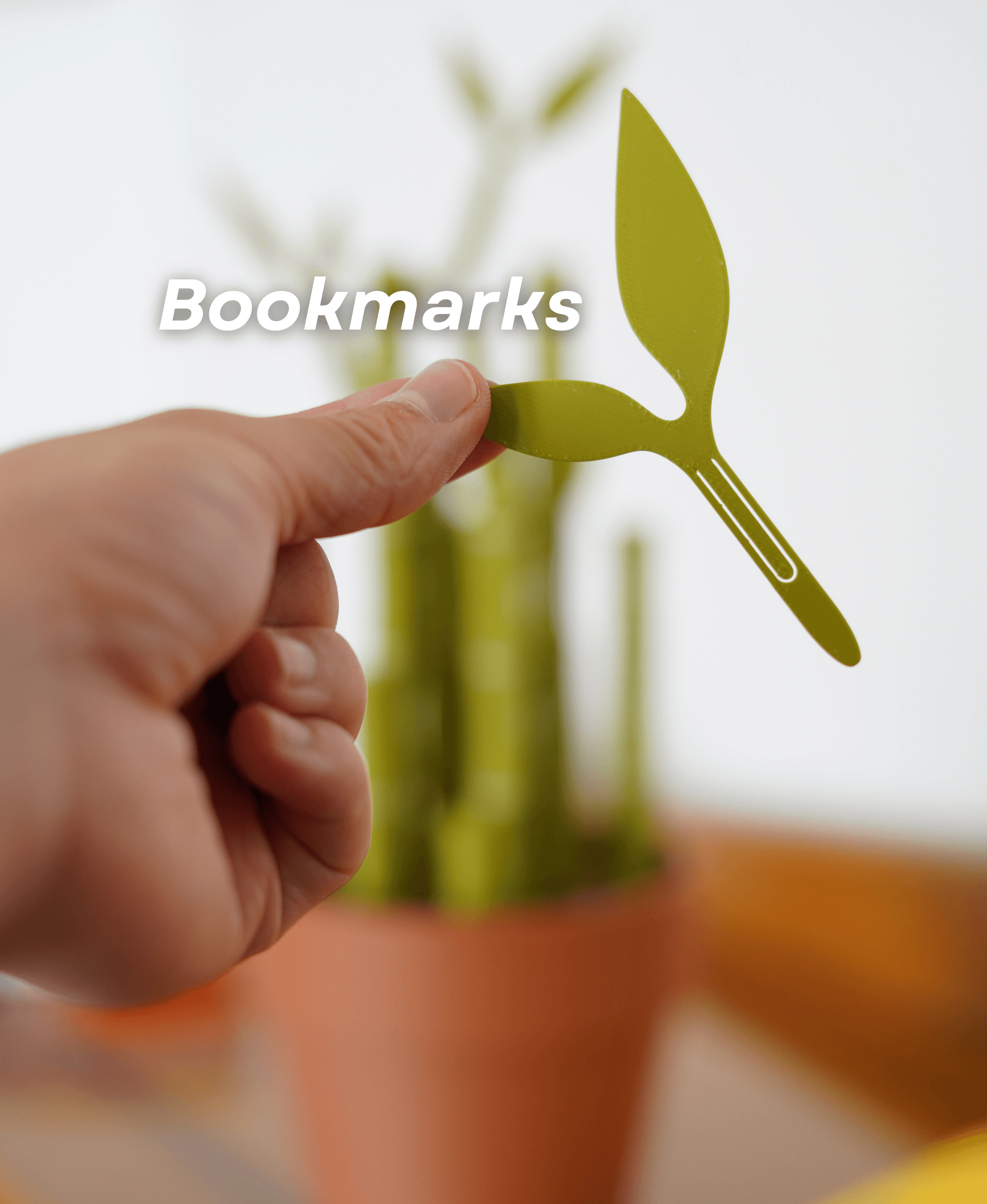 Bambookends | Bamboo Functional Plant (✨Free Shipping✨)