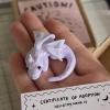 🔥Last Day 49% OFF - Emotional Support Dragon 🐉
