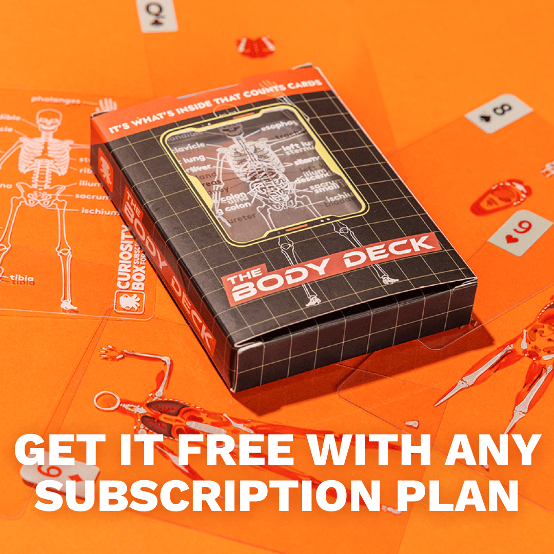 🎁TikTok Last Day Sale -50% OFF🔥The Body Deck