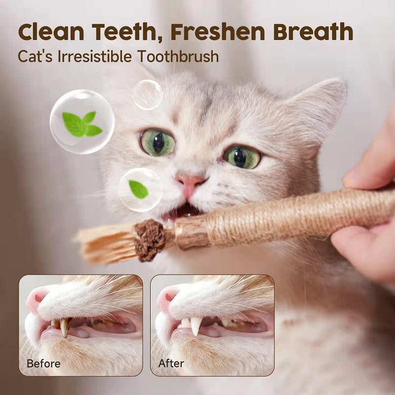 (🔥MOTHER'S DAY SALE 80% OFF) 😺Natural Silvervine Stick Cat Chew Toy - BUY 5 GET 2 FREE NOW