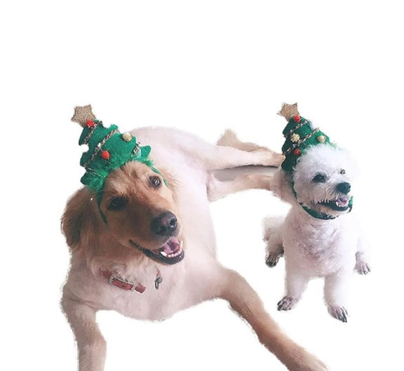 (🌲Early Christmas Sale - SAVE 50% OFF) Christmas Pet Headwear,