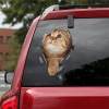 Early Christmas Hot Sale 50% OFF - 3D Cat Sticker Decal(BUY 3 GET FREE SHIPPING)