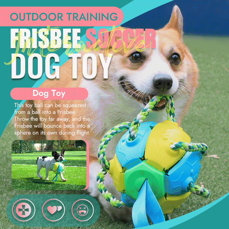 🔥Last Day 50% OFF🐾Interactive Flying Disk Ball Dog Toy