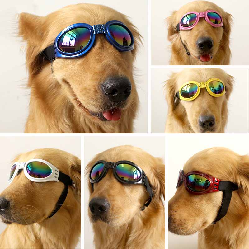 Summer Hot Sale 48% OFF- Dog Goggles