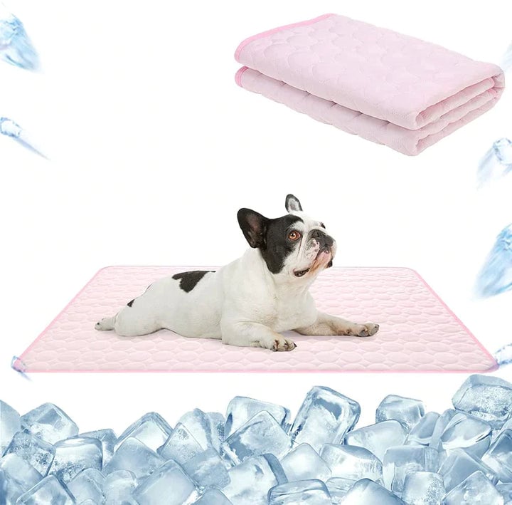 🔥Sommerschlussverkauf 🐶Premium Kühlmatte für Hunde