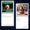 📅2025 Screaming Possum Calendar