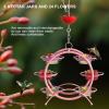 🔥Last Day Promotion 70% OFF✨Hummingbird Feeder