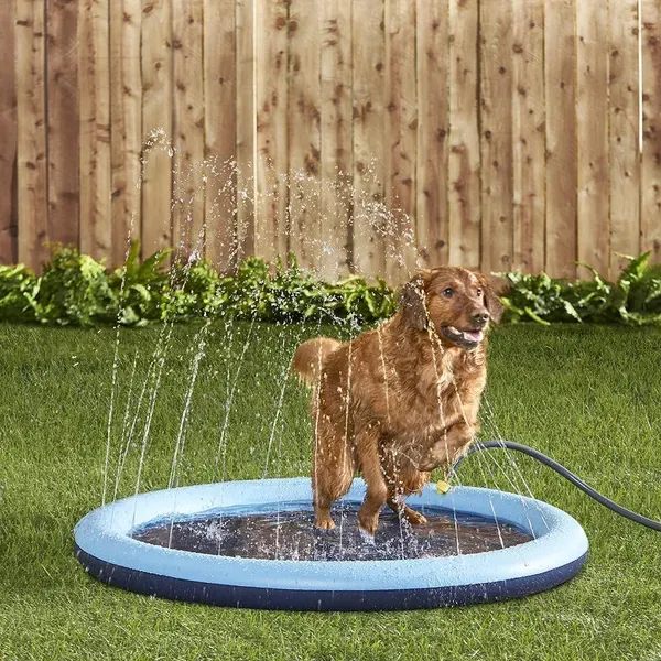 🔥LAST DAY 50% OFF- Refreshing Dog Sprinkler Pad