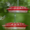 ⚡Clearance Sale SALE 70%🔥 Hummingbird Feeder With Perch