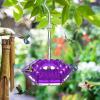 🔥Last Day Promotion-Mary's Hummingbird Feeder With Perch And Built-in Ant Moat