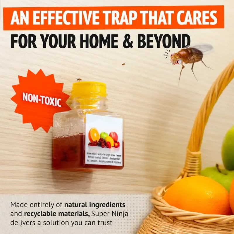 💥LAST DAY SALE 50% OFF💥Fruit Fly Trap⚡BUY 3 GET 1 FREE