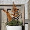 🔥 Celebrate July 4th with 50% OFF!🌿Rusty rural metal ferns are inserted into outdoor garden courtyard decorations and artificial plant handicrafts
