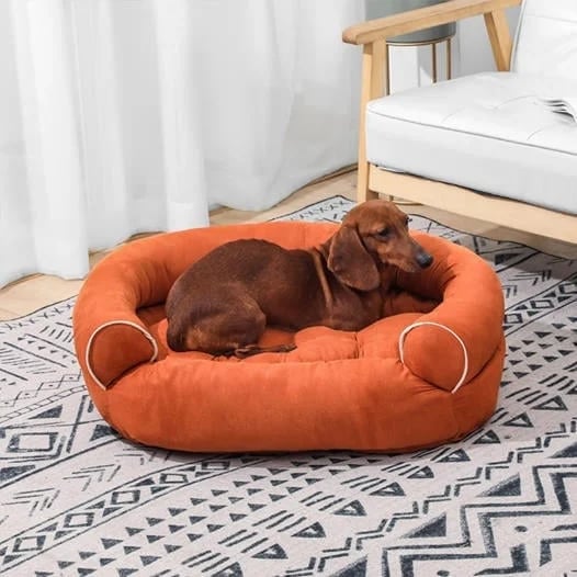 (🔥Hot Sale 50% OFF) 2024 Sofa Dog Bed