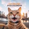 HOT SALE🔥Cat Calendar 2025