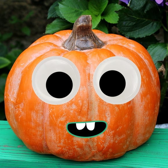 🎁TikTok Last Day Sale - 70% OFF🔥7 Inch Giant Googly Eyes Self Adhesive