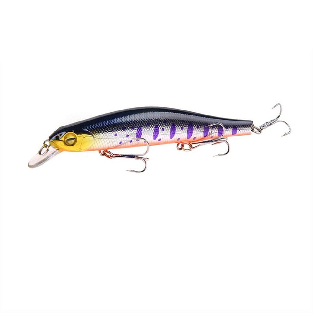 Minnow Fishing Lure