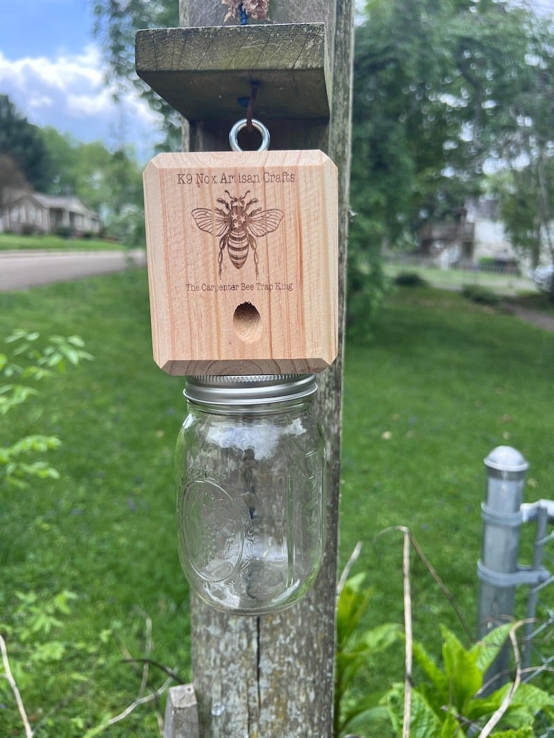 ✨Hot Sale 50% OFF--🔥Best Carpenter Bee Trap