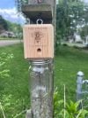 ✨Hot Sale 50% OFF--🔥Best Carpenter Bee Trap