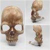 👻2024 New Halloween Handcrafted Skull Night Light