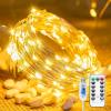 (🎄Christmas Sales 49% OFF) 8 Modes 100-600 Christmas LED Firefly Twinkle String Lights 💫Buy 2 Get 10% OFF