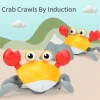 (🎅Early Christmas Sale - 50% OFF) 🎁Interactive Crawling Crab Baby Toy - 🚚Buy 2 Get Free Shipping