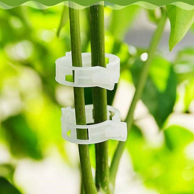 🎄Plant Support Clips - A Good Helper For Your Plants🎄