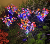 🦋LAST DAY SALE 50% OFF💥Solar Outdoor Butterfly Lights