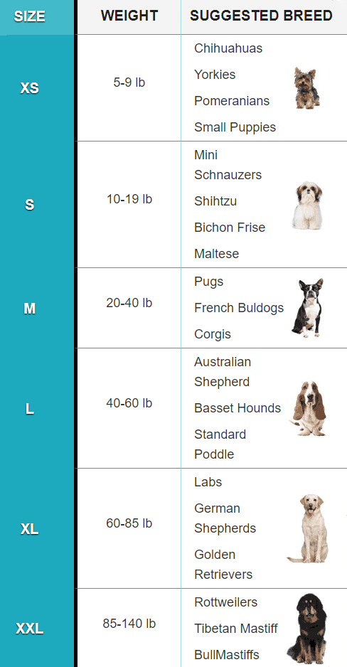 The Last Dog Harness