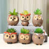 Cute Owl Ceramic Succulent Planter Pot- Buy 2 Free Shipping