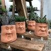 Flower pots decorated with a caricature of a face