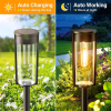 🔥Last Day Promotion 50% OFF💥Solar Pathway Lights