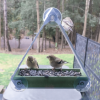 (🔥HOT SALE NOW 49% OFF) Personalized Window Bird Feeder - Buy 2 Free Shipping