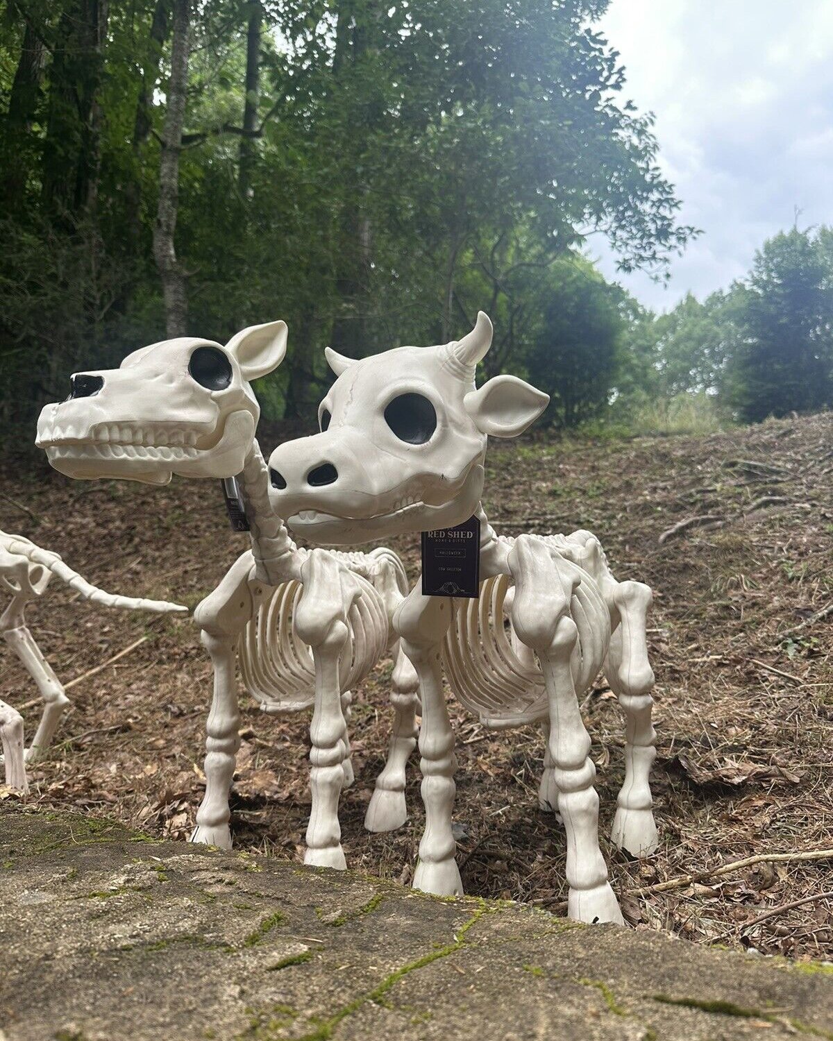 🐮💀Handmade Cow & Horse Skeleton Halloween Decorative Prop