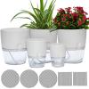 ⏰Last Day Promotion- SAVE 70%🏠Self Watering Plant Pot