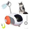 🔥Last Day Sale - 50% OFF🎁Automatic Cat Toy😻