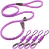 Fida Durable Slip Lead Dog Leash, 6 FT x 1/2