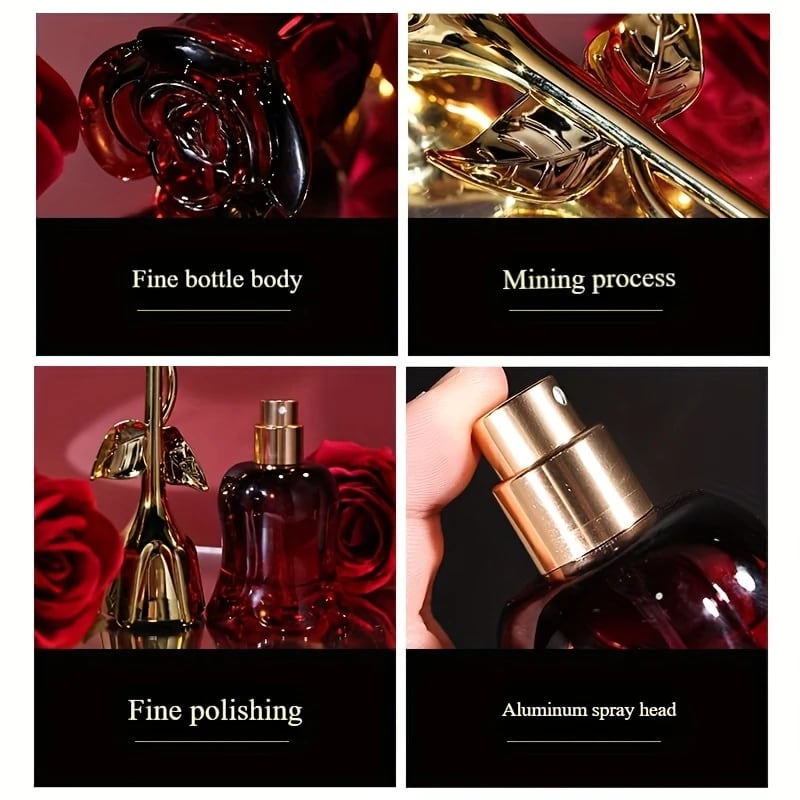 Midnight Rose Perfume🥀| A Timeless Fragrance 🌹