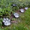 Paw Print Solar Ground Lights - Set of 4